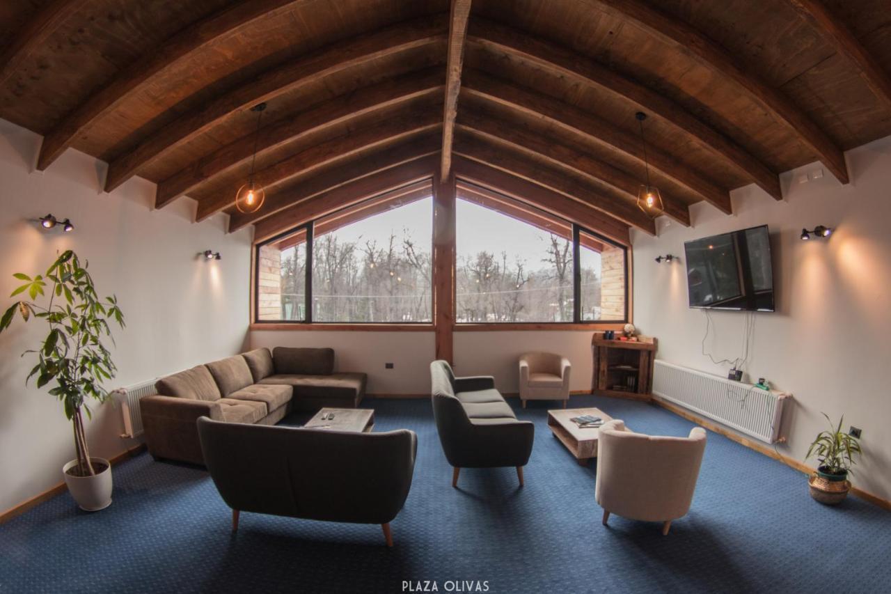Las Bravas Lodge Las Trancas Εξωτερικό φωτογραφία